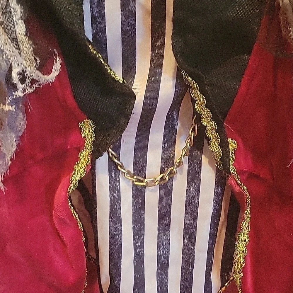 GIRL'S DARLING RINGLEADER COSTUME, SZ L,  12-14 - Picture 12 of 15